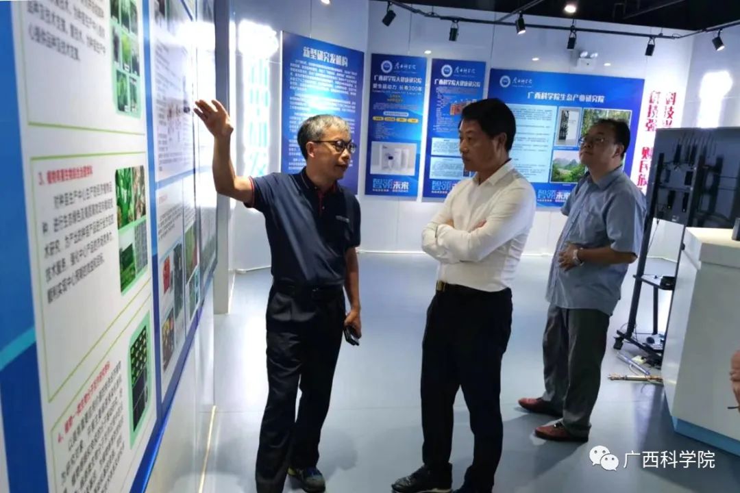 输入图片说明
